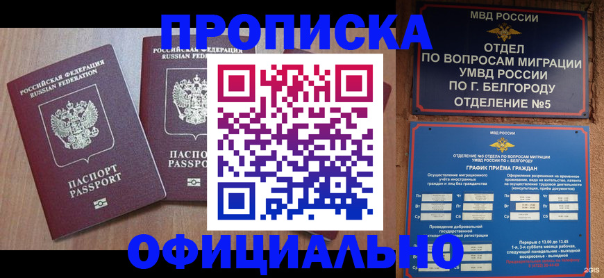 найти адрес прописки в Похвистнево